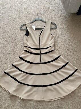 Beige & Black Striped Fit-and-Flare Dress